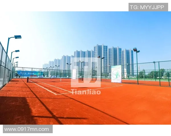 南京网球队的运营策略深度分析与发展前景展望